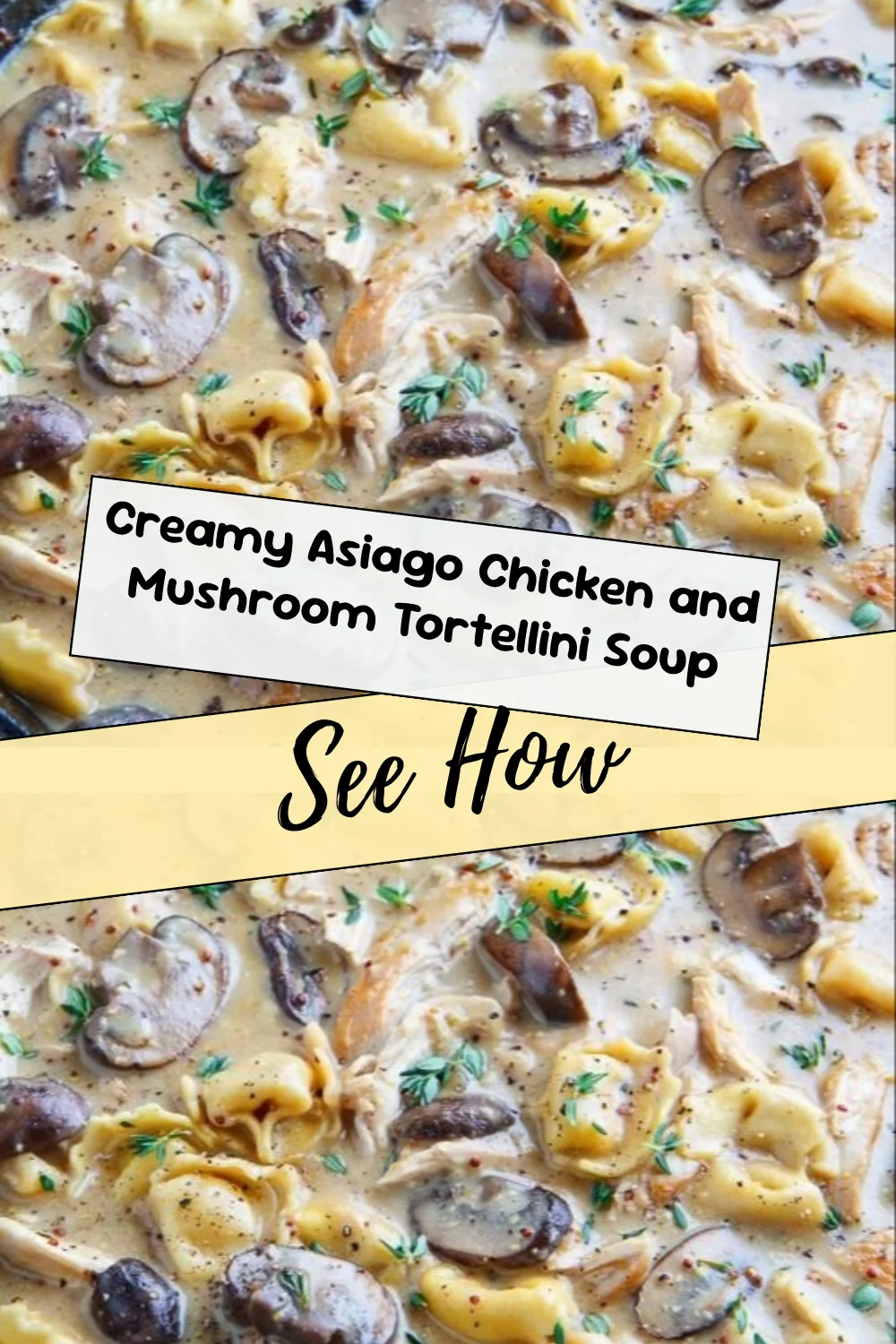 Creamy Asiago Chicken and Mushroom Tortellini Soup