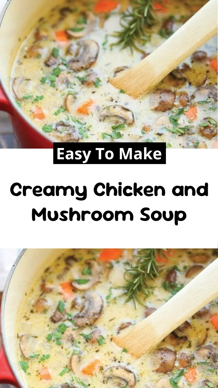 Creamy Chicken and Mushroom Soup