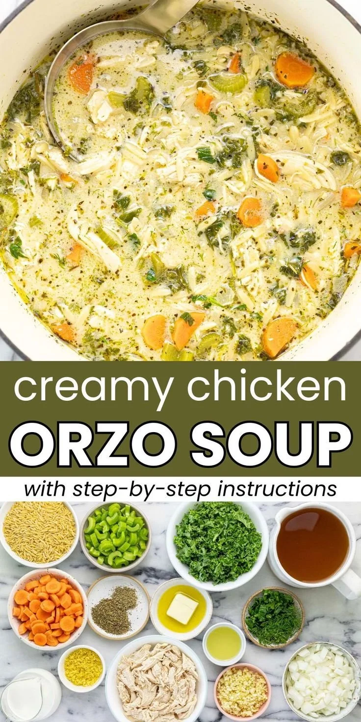 Bowl of creamy chicken orzo soup with vegetables and herbs