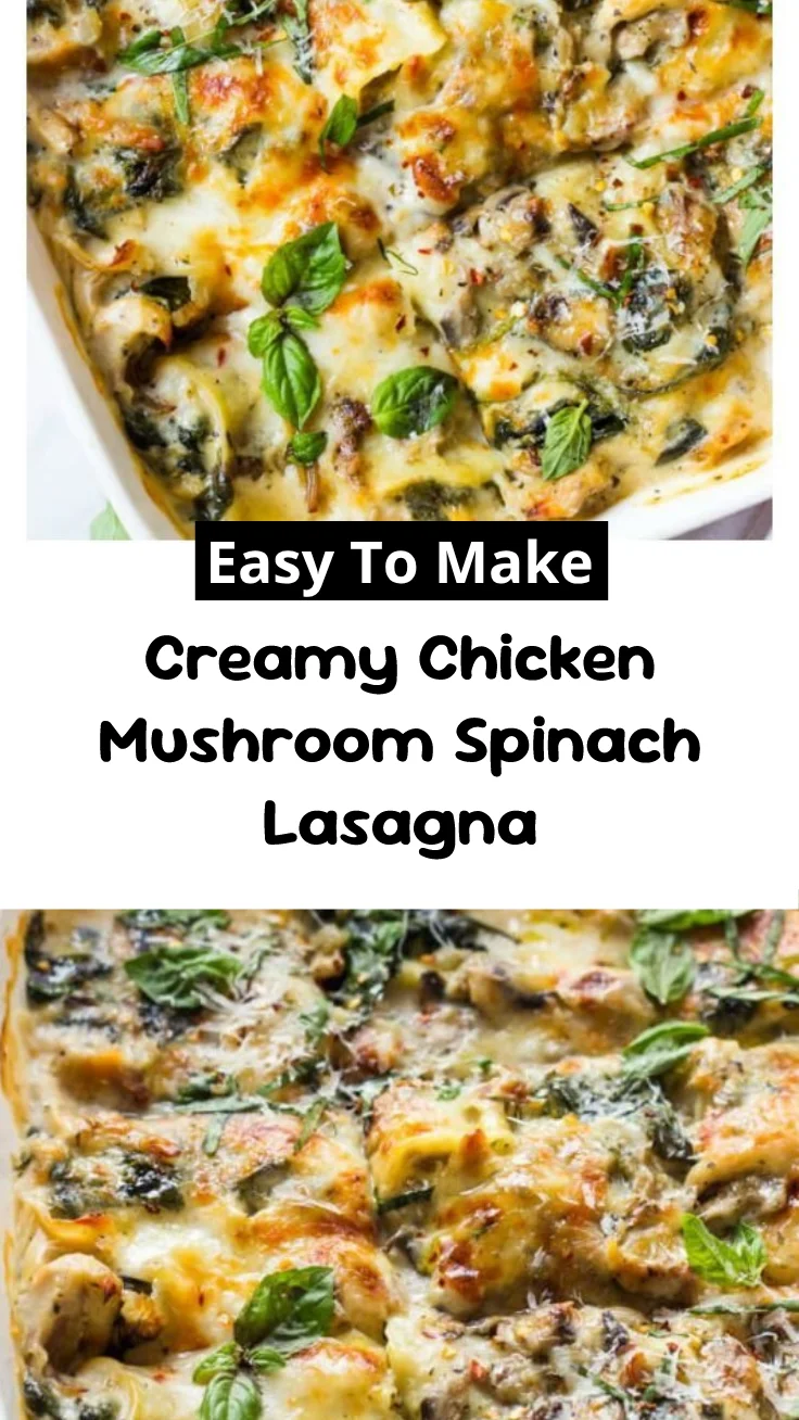 Creamy Chicken Mushroom Spinach Lasagna