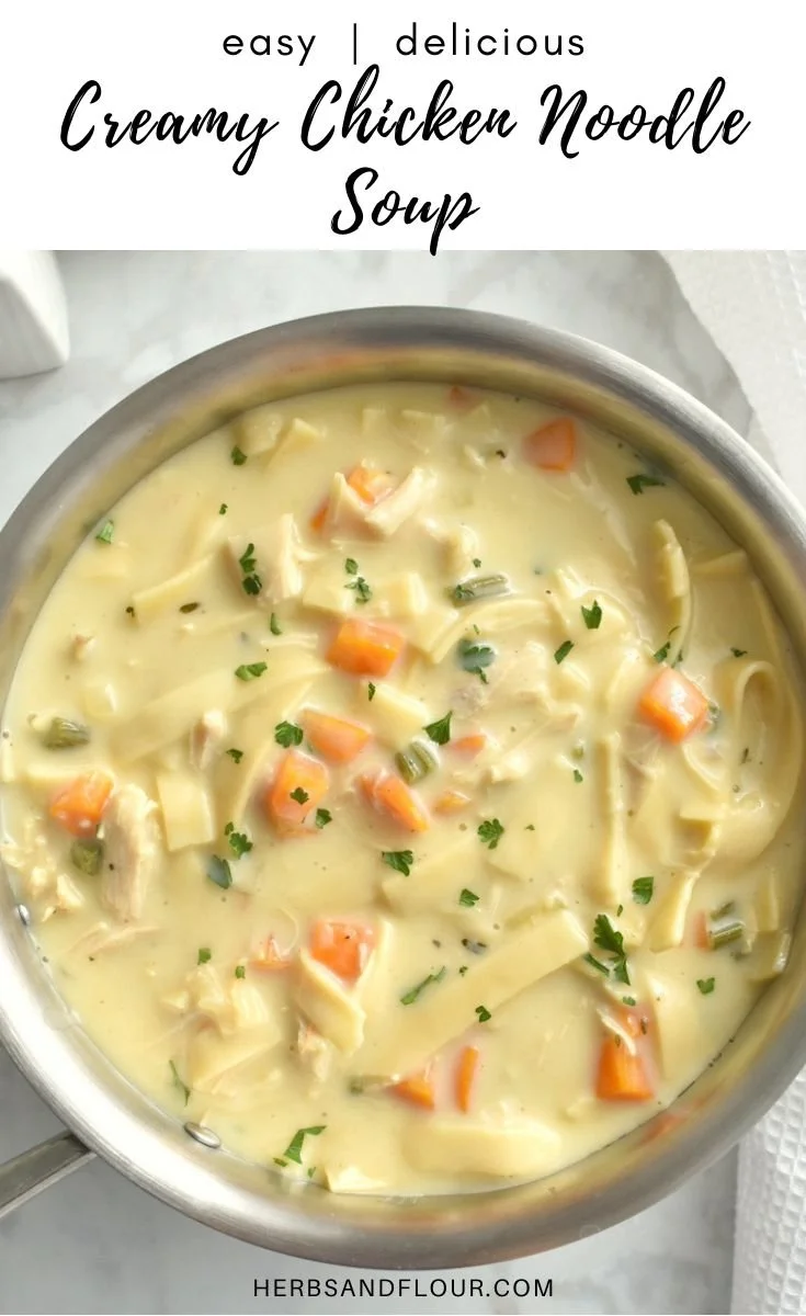 Bowl of creamy chicken noodle soup with fresh herbs and noodles