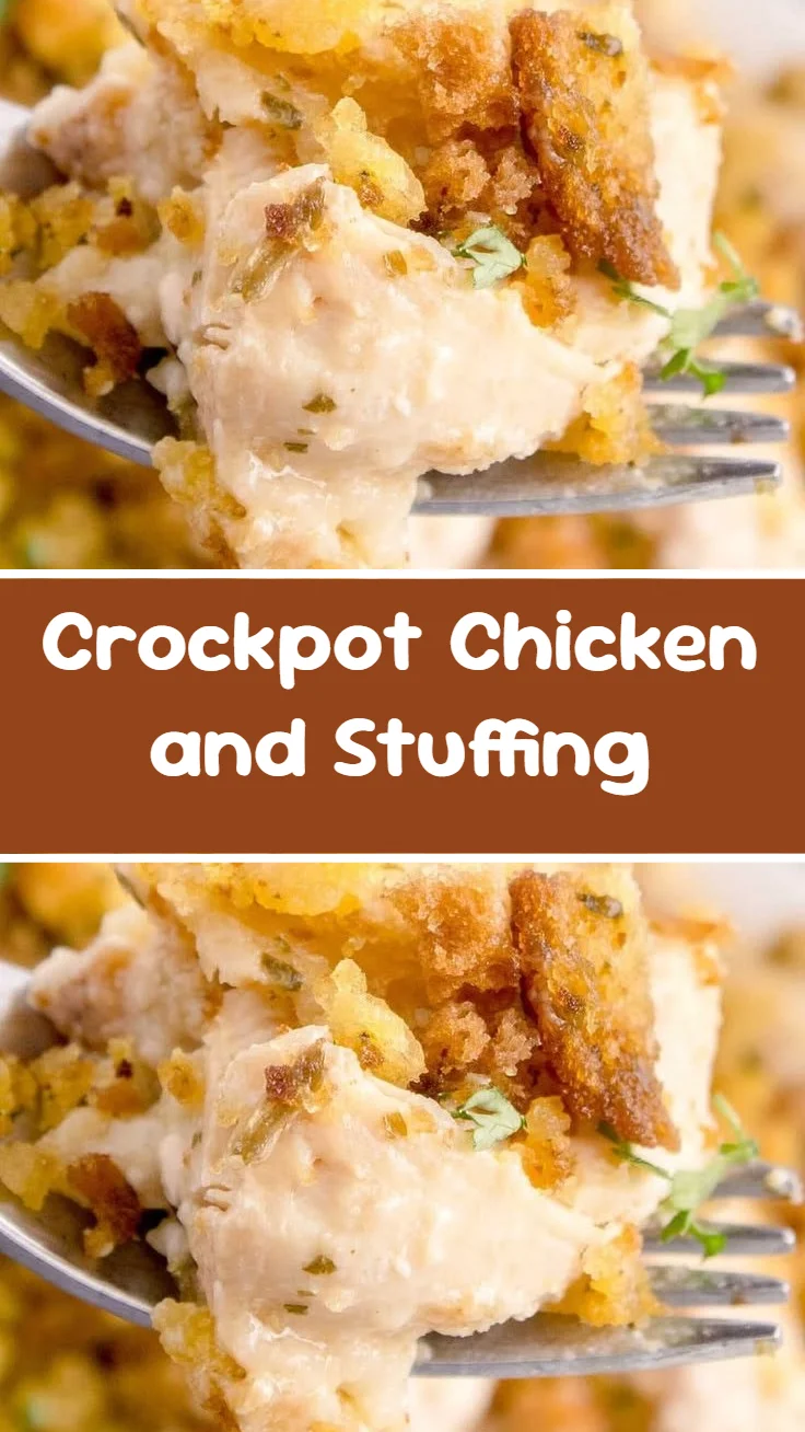 Crockpot Chicken and Stuffing