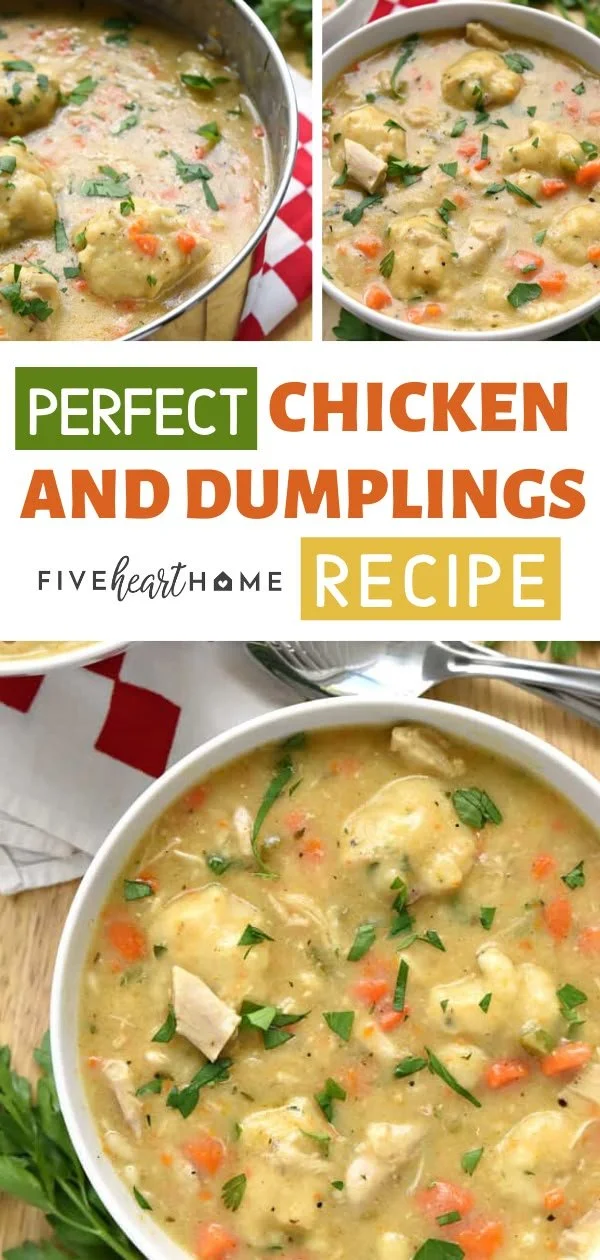 Bowl of perfect Chicken and Dumplings with herbs and spices