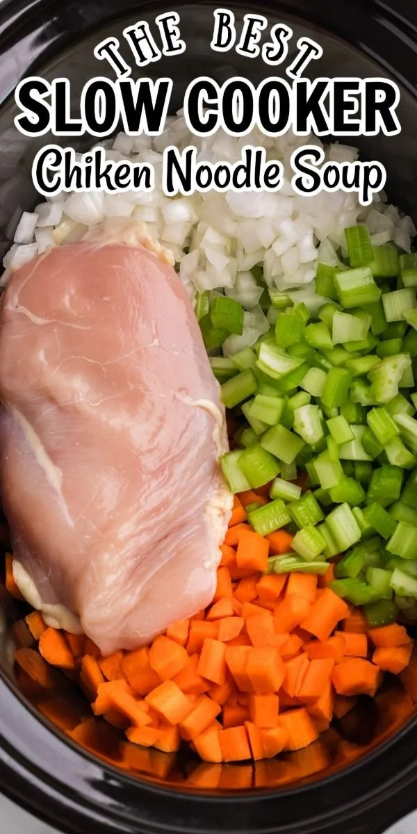 Bowl of slow cooker chicken noodle soup with fresh ingredients