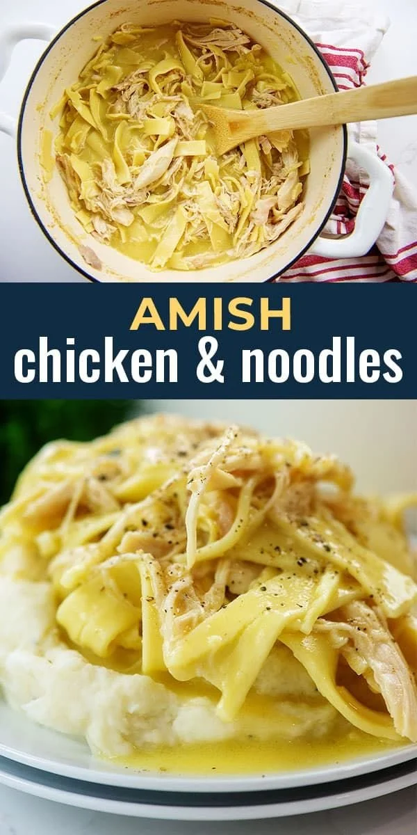 Delicious bowl of Amish Chicken & Noodles with herbs and spices
