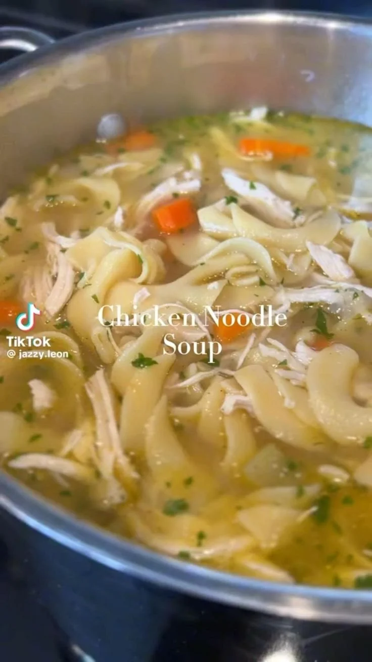 Bowl of homemade chicken noodle soup with vegetables and noodles