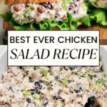 chicken salad 2026 08 07 192905 683x1024 1