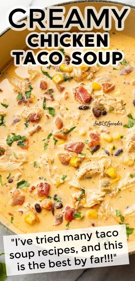 Creamy chicken taco soup with cream cheese in a bowl, garnished with cilantro