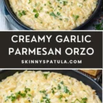 creamy garlic parmesan orzo skinny spatula 2026 08 06 183918 488x1024 1