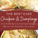creamy homemade chicken and dumplings recipe chi 2026 08 07 192857 512x1024 1