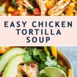 fresh and flavorful chicken tortilla soup recipe 2026 08 07 192929 461x1024 1