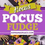hocus pocus fudge 2026 08 06 183950 466x1024 1