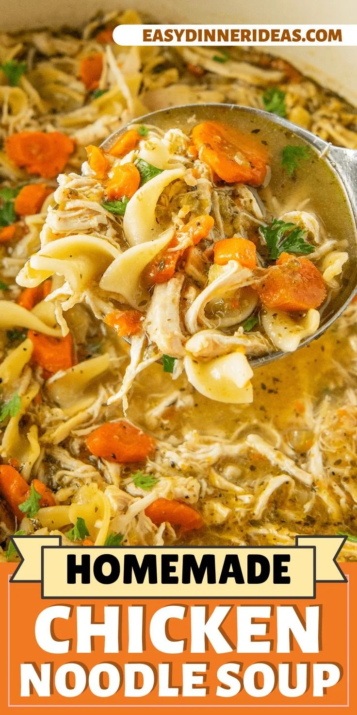 Delicious homestyle chicken noodle soup with fresh veggies in a bowl