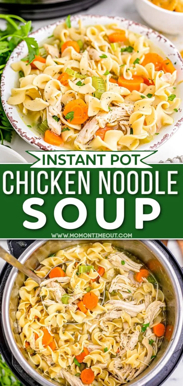 Instant Pot chicken noodle soup filled with vegetables and flavors, perfect for a hearty meal.