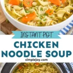 instant pot chicken noodle soup recipe instapot 2026 08 07 192926 512x1024 1