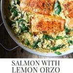 one skillet salmon with lemon orzo 2026 08 06 184016 1