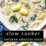 slow cooker chicken gnocchi soup 2026 08 07 192932 512x1024 1