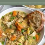 slow cooker chicken stew 2026 08 07 192931 683x1024 1