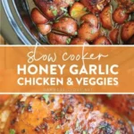 slow cooker honey garlic chicken and veggies 2026 08 06 184018 488x1024 1